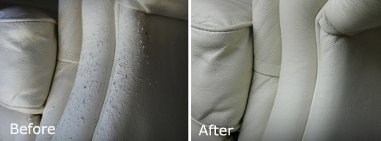 Repair Cat Scratches on Leather  Leather couch repair, Leather